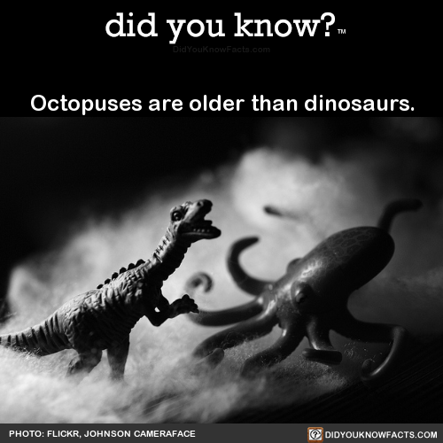 did-you-kno:Octopuses are older than dinosaurs. Source Source...