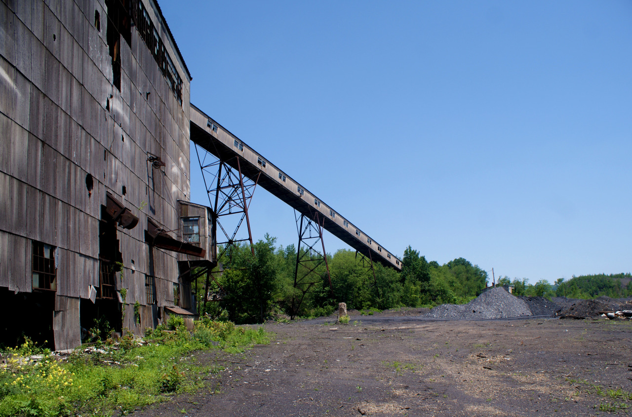 NATURE 3.X • Abandoned Coal Mine Rural Columbia County, PA