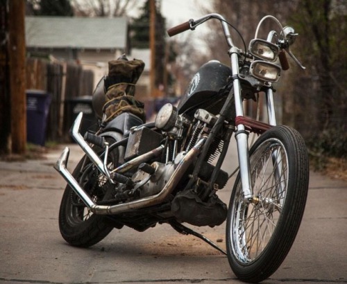 grumpyjay:Sweet Ironhead Sporty….⚡️⚡️❤️⚡️⚡️