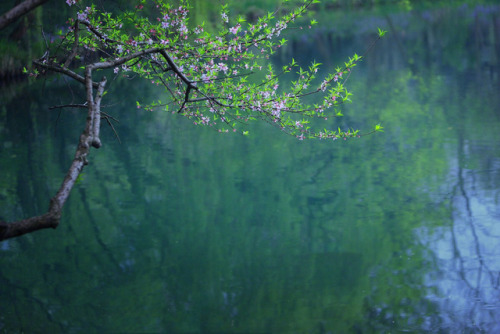 fuckyeahchinesegarden:lake view in china