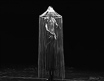 https://66.media.tumblr.com/a1153eb1df52be66606f37aa71e2aaa3/tumblr_ogi07wo2mg1sn8m9wo1_400.gif