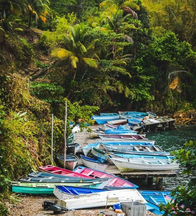 Trinidad & Tobago — trinbagoculture: Fisherman essentials. Trinidad...