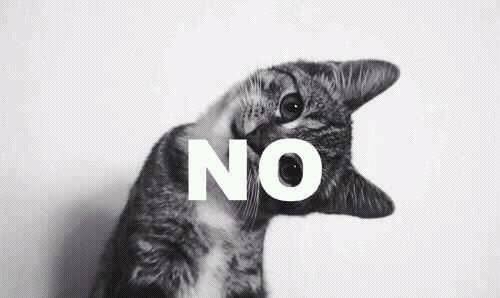 Resultado de imagem para haters tumblr