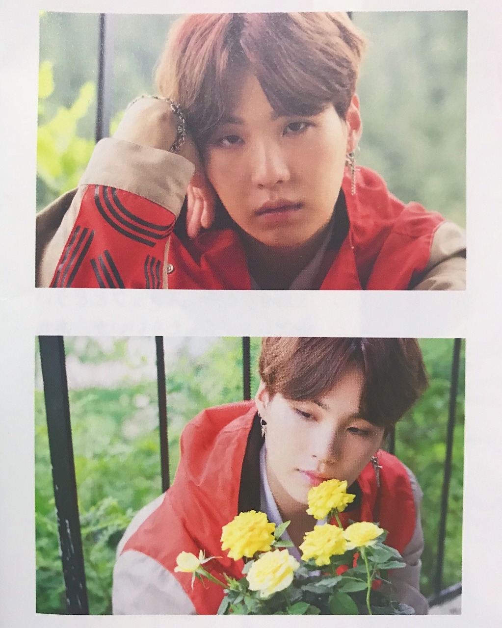 起 承 轉 結 Suga X Japan Official Fanclub Magazine