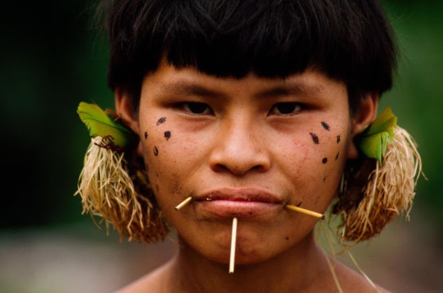 emmagoldman42: ‘They’re killing us’: world’s most endangered tribe cries