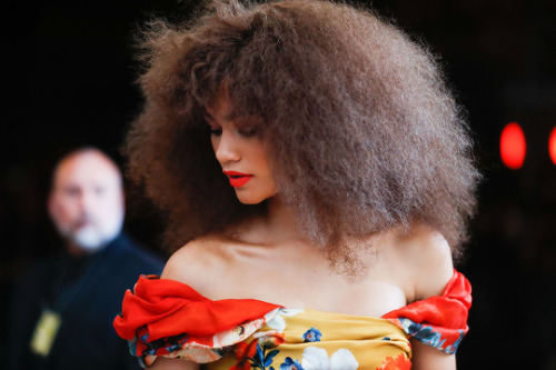 neverfarbehind: Zendaya Coleman Hair Appreciation Post...