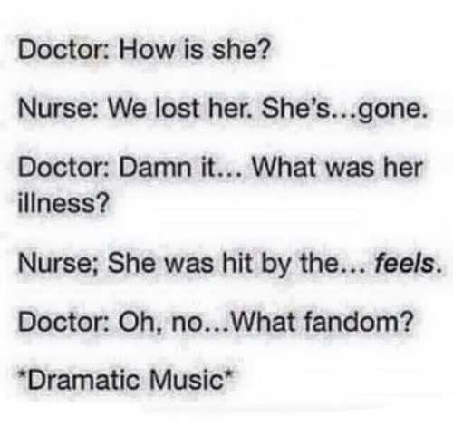 funny tumblr posts about fandoms