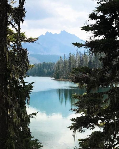 Photo from @risa_santa - Three Fingered Jack - Image selected by...