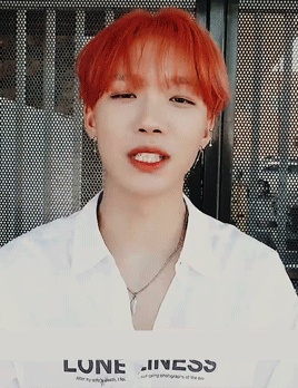 sheer red button up shirt sheer red button up shirt