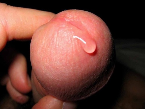 iloveprecum:Submitted by thehornyinfertilevirgin