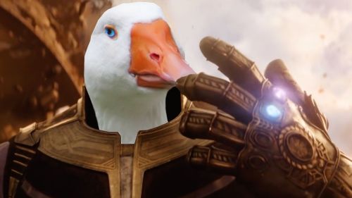 goosy-boi