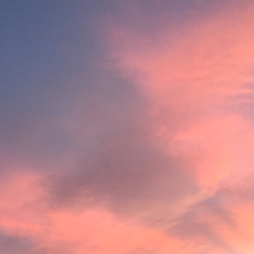 sunshineglossy:the sky looked like something out of a...