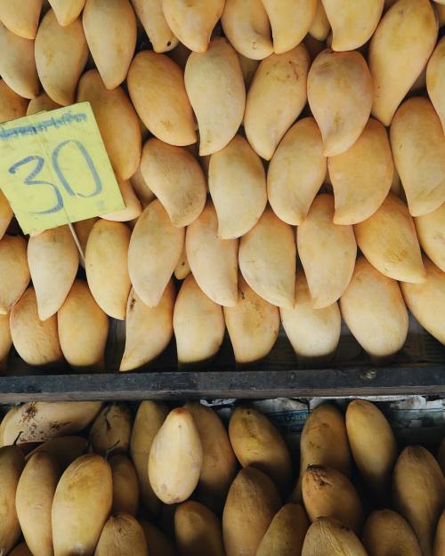 Mango madness from the markets today in CHIANG MAI! EEEP excited...