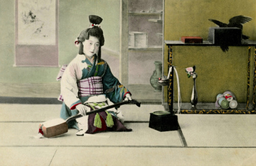 Genroku Style - Shamisen Player 1905 (by Blue Ruin1)
“ A Shinbashi geisha dressed in the Genroku style, tuning her shamisen next to an Edo period oil lamp and folding screen.
”