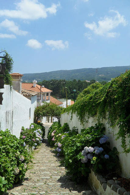 iratzecovu