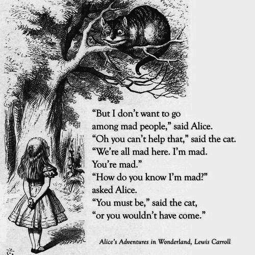 Image result for alice in wonderland 'we're all mad here' quote free to use image