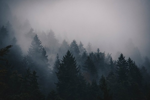 extragalacticy:Photo by Thomas Griesbeck on Unsplash