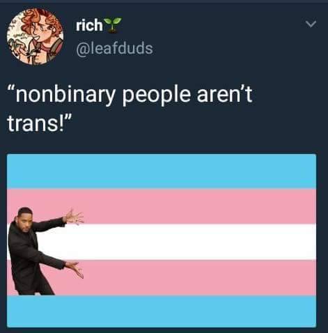 underwaterarcades:
“ gaydiskhorse:
“ baroquecourse:
“ gayvetforlife:
“ but… they’re not. Trans is short for “transitioning” which is to say you go from one gender to the other. Non-binary people are not transitioning to another gender. They’re just...