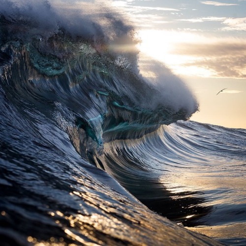 sabonhomeblog:Wave: @warrenkeelan