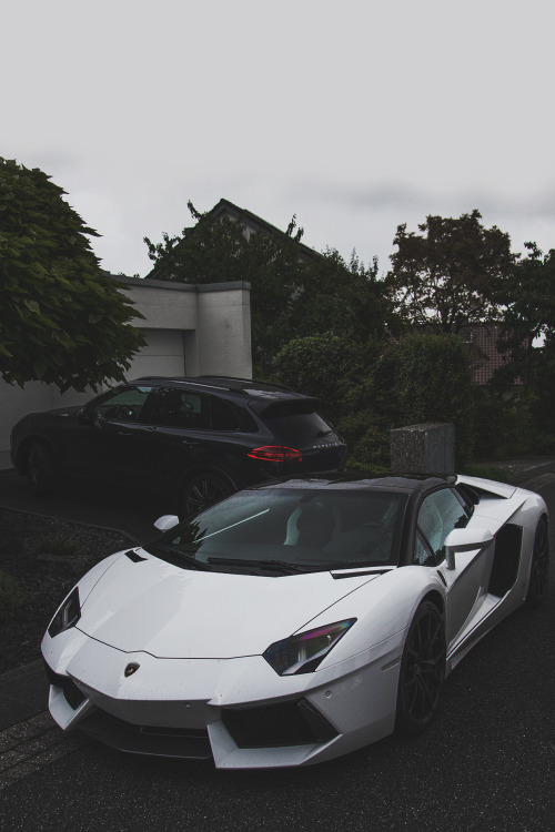 envyavenue:Lamborghini Aventador Roadster