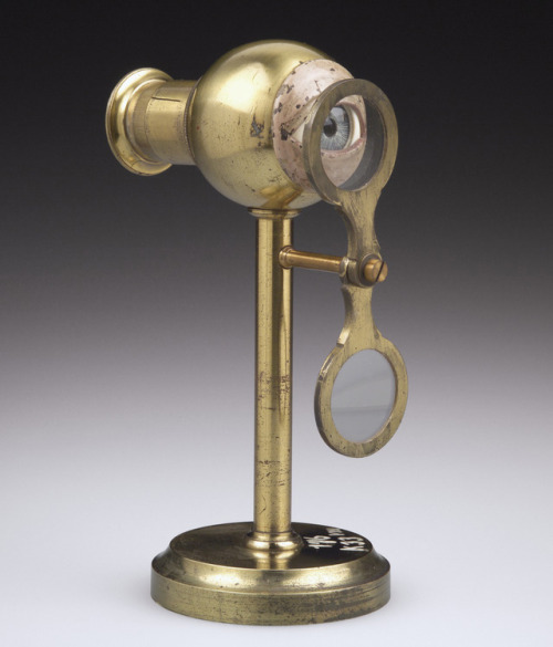 cmog:Object of the Week: Optical Model of the Eye, probably...