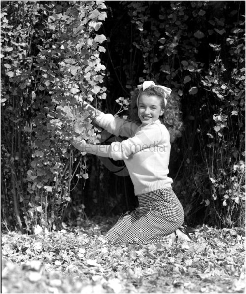 andre de dienes norma jeane marilyn monroe pink pullover