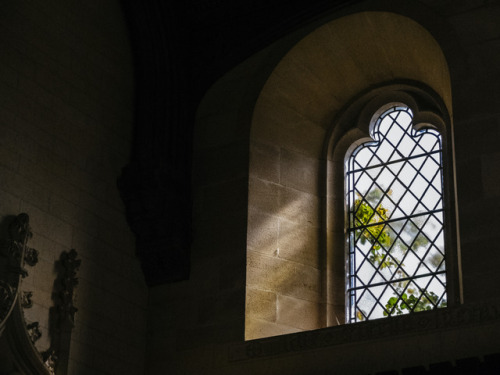 billieraephoto:Light fall in Fitzalan Chapel, Arundel Castle...