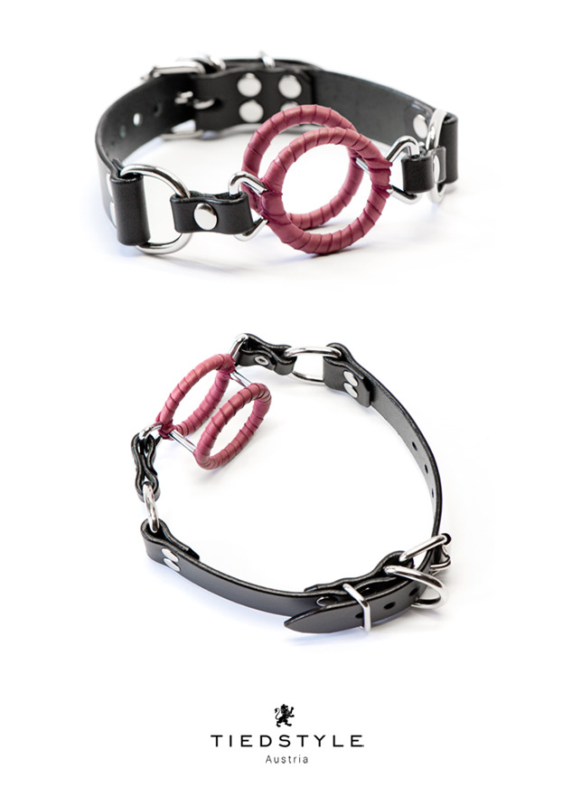 o ring gag bit o ring gag bit