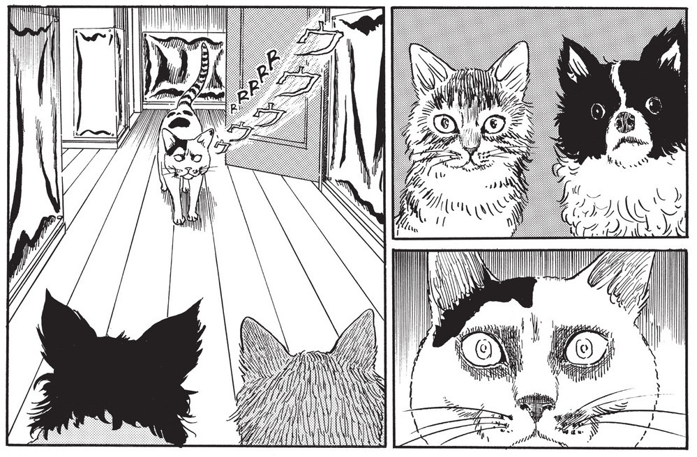 A comiXologist (a cat comic) Junji...