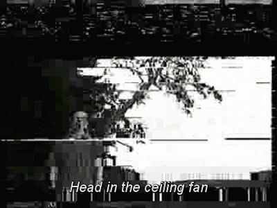 Head In The Ceiling Fan Tumblr