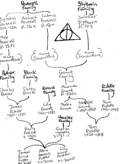 Risultati immagini per genealogical tree of tom riddle