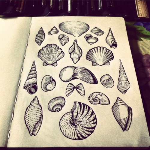 sea shell tattoo sea shell tattoo