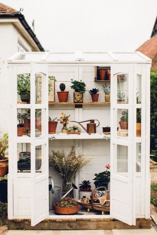 interior-design-home:SPRING PROJECTS – MINI GREENHOUSE REVEAL