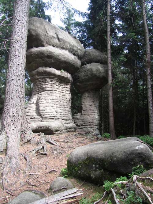 galswintha:Table Mountains - rock mushrooms and river of blood.