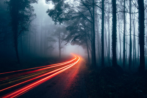 te5seract:Sintra light II & Neon Forest byJames...