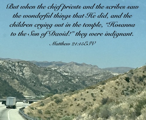 itsyourchoicedevotionals