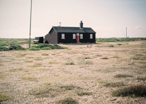 sicklysweetly:houses painted black