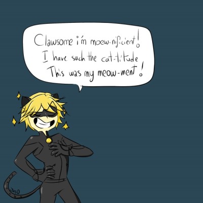 Cat Noir Pun Tumblr