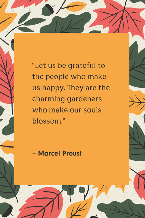 33+ Gratitude Thanksgiving 2020 Quotes Pics