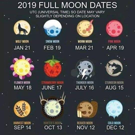 Moon Chart 2019