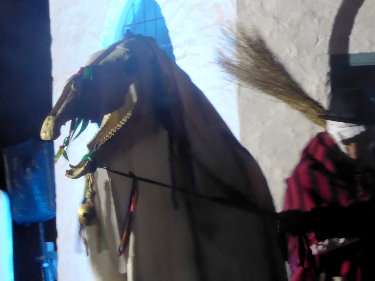 Mari Lwyd - a skeleton horse head on a stick