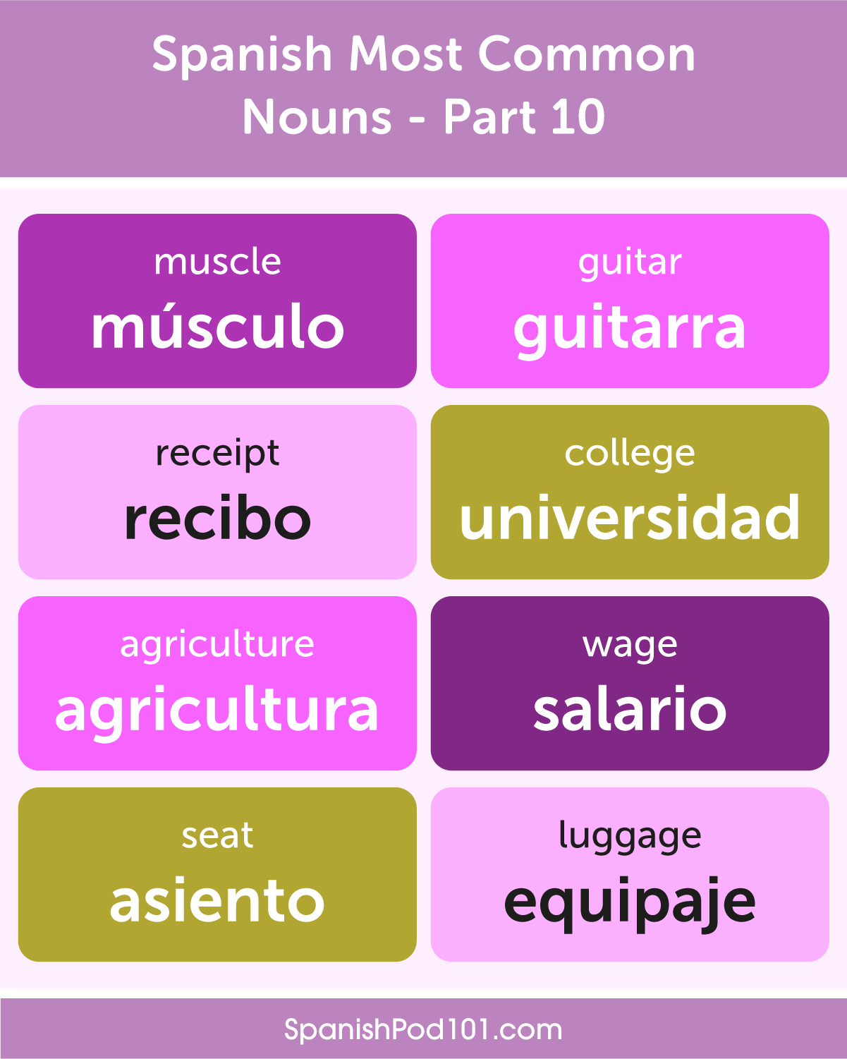 write-five-sentences-in-spanish-using-the-following-words-must-be