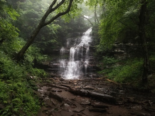 aetheric-aesthetic:Ganoga Falls(In the middle of a cloudburst)