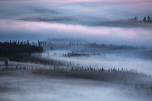 melodyandviolence:Tranquil forest  Iso-Syöte, Finland...