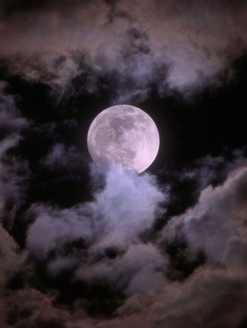 trasemc:Beautiful moon