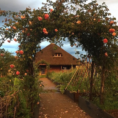 alraunahomestead:Permacultura IPEP (@permacultura.ipep)