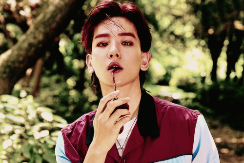 cheolyans:ko ko bop - BAEKHYUN