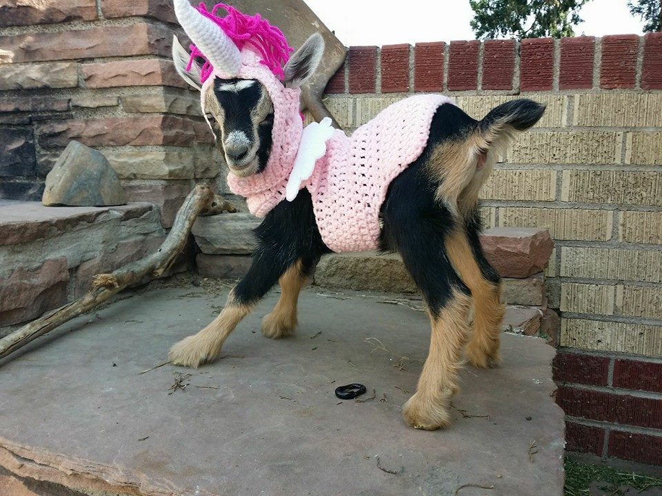tumblr_n84ajxw13l1r7yxrco3_1280.jpg