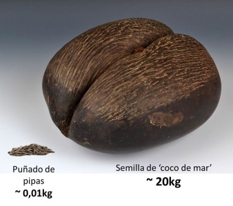 Biotecnología Sí | '20 kilos de semilla' Una de las ...