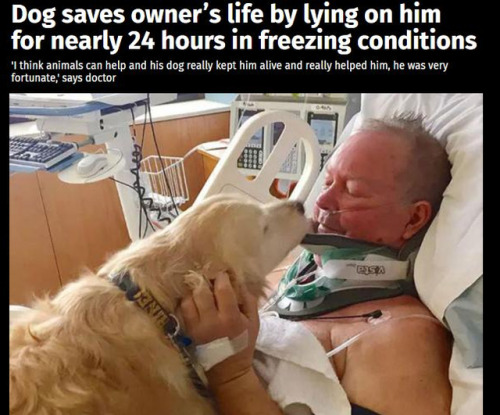 thriveworks:Uplifting Animal News Stories (see 10 more)